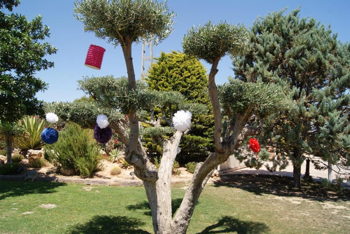 Los Jardines De Lola Daimés Exteriér fotografie