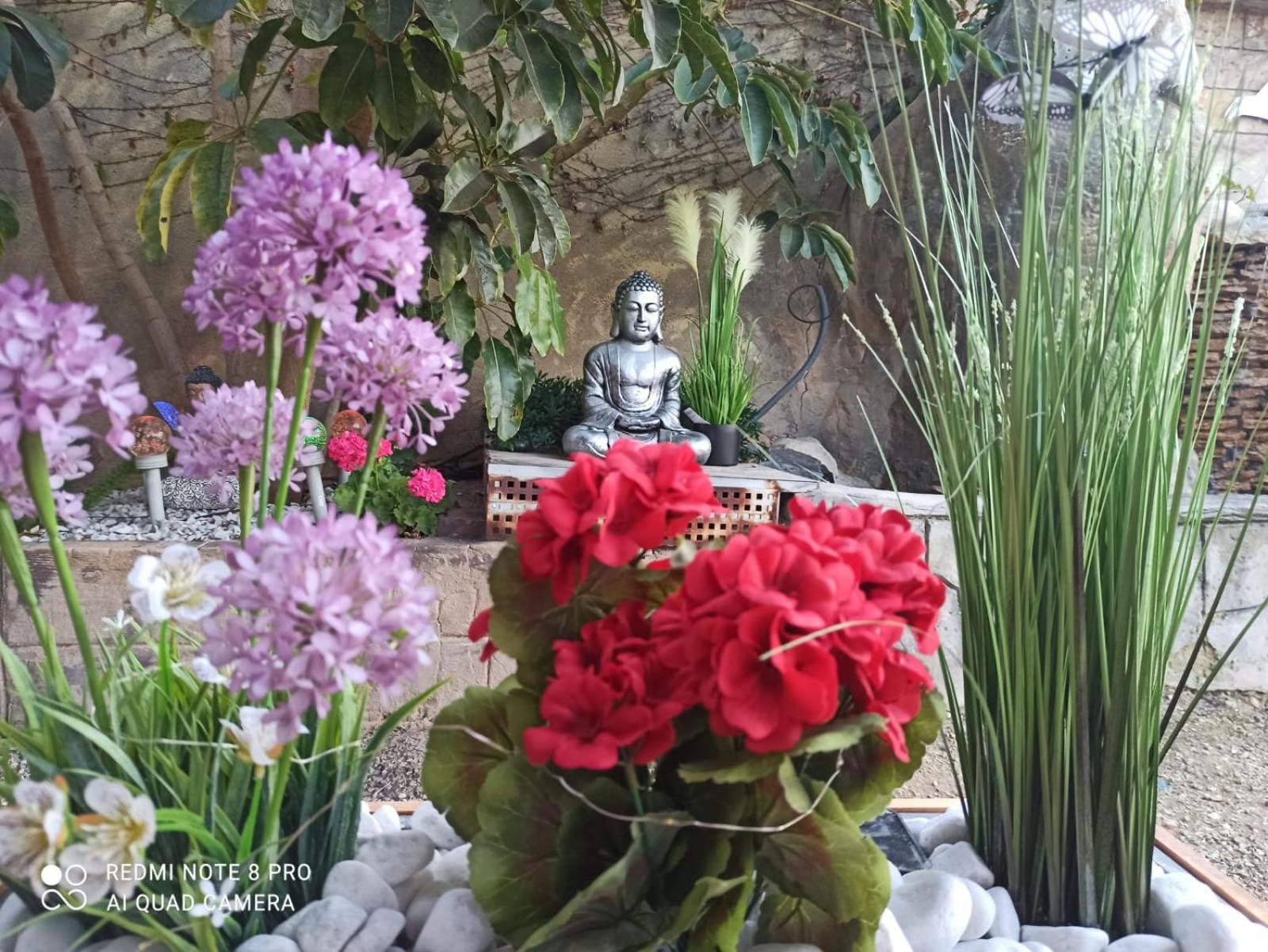 Los Jardines De Lola Daimés Exteriér fotografie